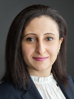 Dr Faezeh Arab Hassani